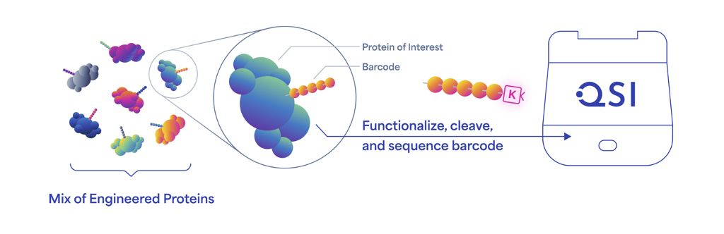 protein barcode image